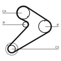 CONTINENTAL CTAM CT921 Zahnriemen