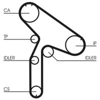 CONTINENTAL CTAM CT921 Zahnriemen