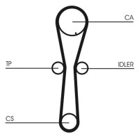CONTINENTAL CTAM CT954 Zahnriemen