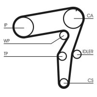 CONTINENTAL CTAM CT968 Zahnriemen