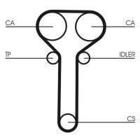 CONTINENTAL CTAM CT978 Zahnriemen