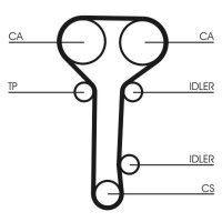 CONTINENTAL CTAM CT978 Zahnriemen