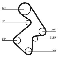 CONTINENTAL CTAM CT998 Zahnriemen