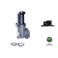 NTK 90295 AGR-Ventil