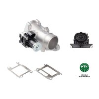 NTK 94829 AGR-Ventil