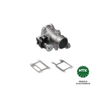 NTK 94829 AGR-Ventil