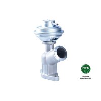 NTK 95864 AGR-Ventil