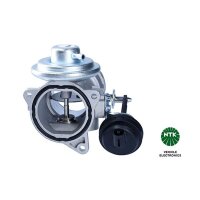 NTK 97282 AGR-Ventil