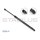 STABILUS 641030 Gasfeder, Motorhaube
