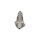HC-Cargo F 032 116 024 Starter