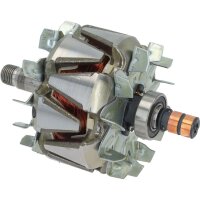 HC-Cargo F 032 232 198 Läufer, Generator