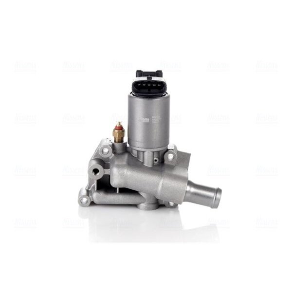 NISSENS 98204 AGR-Ventil