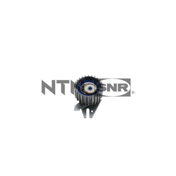 SNR GT358.30 Spannrolle, Zahnriemen