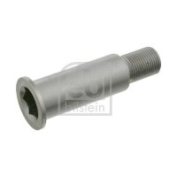 FEBI BILSTEIN 01963 Lagerzapfen, Spannrollenhebel