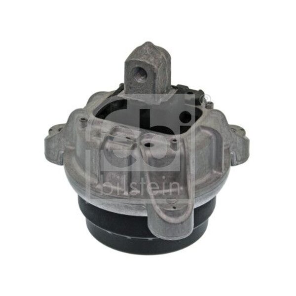 FEBI BILSTEIN 45591 Lagerung, Motor