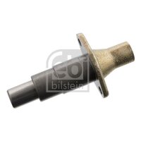 FEBI BILSTEIN 30548 Spanner, Steuerkette