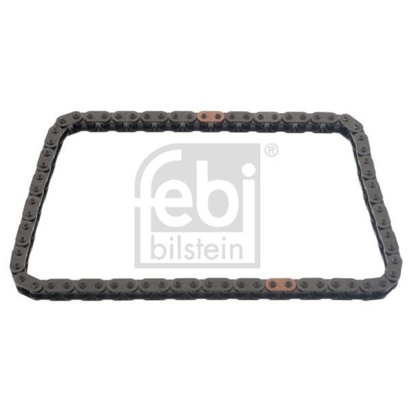 FEBI BILSTEIN 48574 Steuerkette