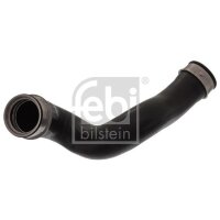 FEBI BILSTEIN 45596 Ladeluftschlauch