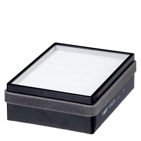HENGST FILTER E956LI01 Filter, Innenraumluft
