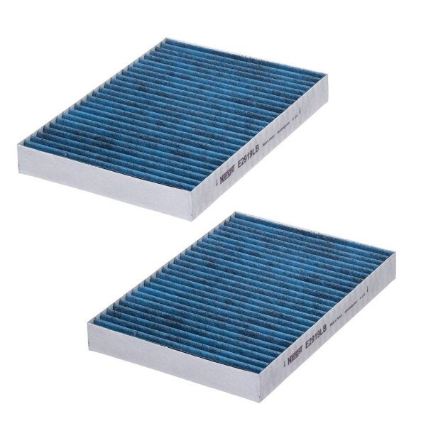 HENGST FILTER E2919LB-2 Filter, Innenraumluft