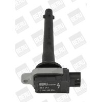 BorgWarner (BERU) ZSE056 Zündspule