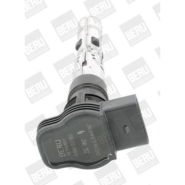 BorgWarner (BERU) ZSE062 Zündspule
