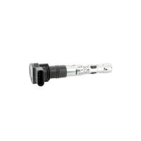 BorgWarner (BERU) ZSE062 Zündspule