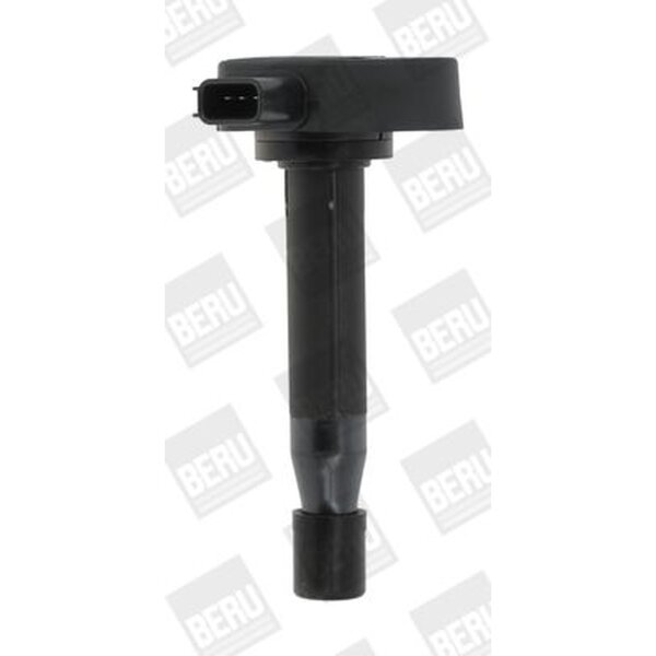 BorgWarner (BERU) ZSE166 Zündspule