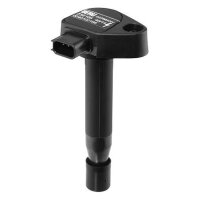 BorgWarner (BERU) ZSE166 Zündspule