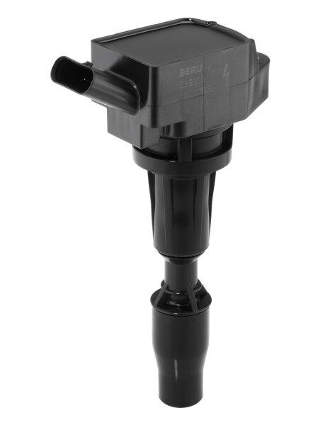 BorgWarner (BERU) ZSE300 Zündspule