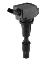 BorgWarner (BERU) ZSE300 Zündspule