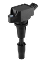 BorgWarner (BERU) ZSE300 Zündspule