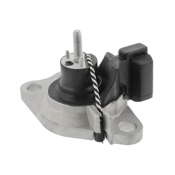 TOPRAN 700 529 Lagerung, Motor