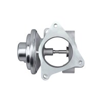 HELLA 6NU 010 171-301 AGR-Ventil