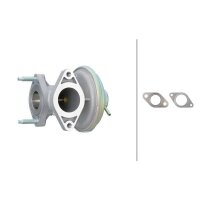 HELLA 6NU 014 865-541 AGR-Ventil