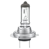 HELLA 8GH 007 157-231 Glühlampe, Fernscheinwerfer