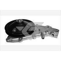 HUTCHINSON WP119 Wasserpumpe, Motorkühlung