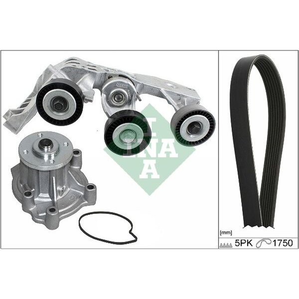 Schaeffler INA 529 0081 31 Wasserpumpe + Keilrippenriemensatz