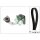 Schaeffler INA 530 0096 10 Zahnriemensatz