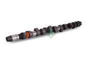 Schaeffler INA 428 0079 10 Nockenwelle