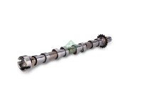 Schaeffler INA 428 0190 10 Nockenwelle