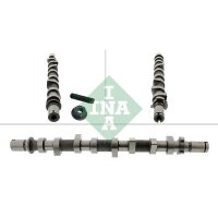 Schaeffler INA 428 0252 10 Nockenwelle