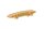 Schaeffler INA 552 0229 10 Gleitschiene, Steuerkette