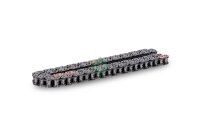 Schaeffler INA 553 0280 10 Steuerkette