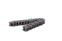 Schaeffler INA 553 0376 10 Kette, Ölpumpenantrieb