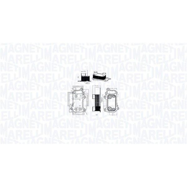 MAGNETI MARELLI 350300003900 Ölkühler, Motoröl