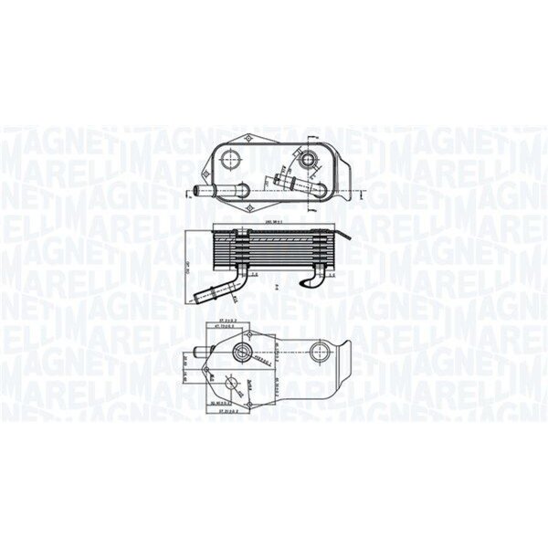 MAGNETI MARELLI 350300004800 Ölkühler, Motoröl