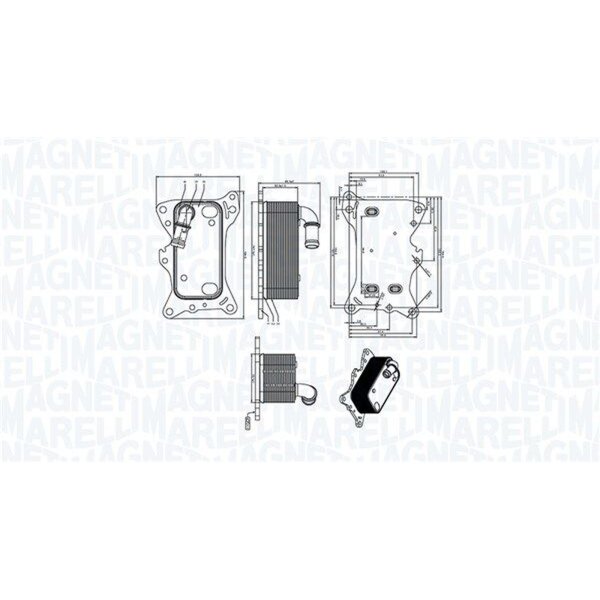 MAGNETI MARELLI 350300006300 Ölkühler, Motoröl