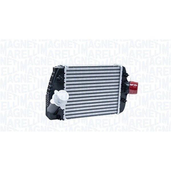 MAGNETI MARELLI 351319206150 Ladeluftkühler