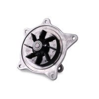 HEPU P2634 Wasserpumpe, Motorkühlung